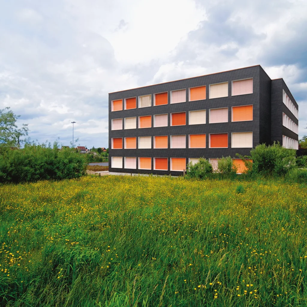 Sanierung Schulanlage Steig, Wittenbach